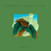 Light (UA) - Organic Collection vol.1