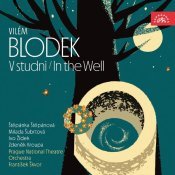 - Blodek: In the Well