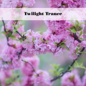 gianluigi toso - Twilight Trance