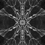 Deomid - Movida