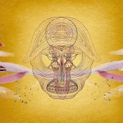 Devendra Banhart - What Will We Be