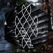 Destroy//Create - Black Swan