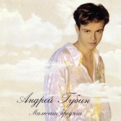 Андрей Губин - Мальчик бродяга