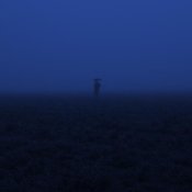 constsad - apathy