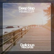 Basic Stuff - Deep Slap House 2024
