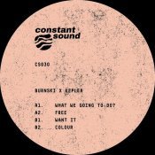 Burnski - What We Going To Do?
