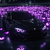 MyinWo - SAFADO