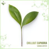 Emulate - Chillout Euphoria