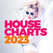 Diseptix - House Charts 2023