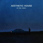 ONL - Aesthetic house