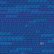 Dominik Eulberg - SEE