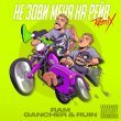 Gancher & Ruin