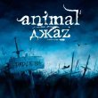 Amatory