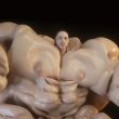 Tommy Cash