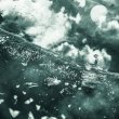 Tsunami J.