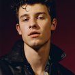 Shawn Mendes