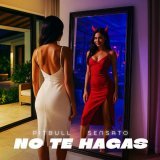 Sensato, Pitbull - No Te Hagas