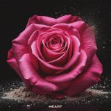 Dinamixx - Heart