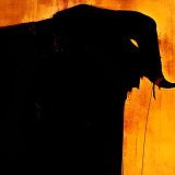 Miki Ganbei 干杯 - Black Parade of the Elephants