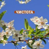 Глас вокальный проект - Родник