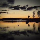 Гребенщик - Лето