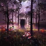 August, Mayot, Kout - ЭКЗОТИКА