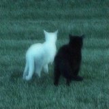 brndoom, danxvil - childhood