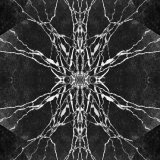 Deomid - Wonderered