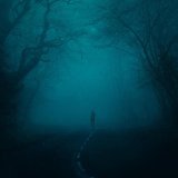 Øneheart, reidenshi - Snowfall