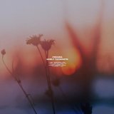 Prigida - Tides
