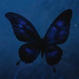 Ashess, vishæs - butterfly effect