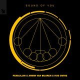 Armin Van Buuren, Pendulum, Rob Swire - Sound of You
