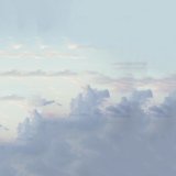 DXXDLY - Losing