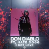 Don Diablo, Nate Dogg - I Got Love