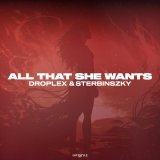 Droplex, Sterbinszky - All That She Wants