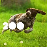Ceephax - Castilian