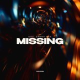 D&s, Danna Max - Missing