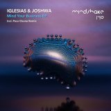 Joshwa, Enrique Iglesias - Mind Your Business - Radio Edit