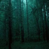 Enchanter - forgotten forest