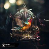 MARSTEREON - скачать песни