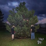 100 gecs, Laura Les, Dylan Brady - gecgecgec