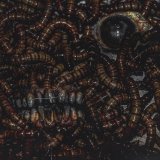 Raskol - I CLIMBED OUT OF CUNT COVERED IN BLOOD, I WAS BORN THIS WAY