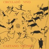 Caetano Veloso - Oceano (Ao Vivo)