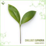 Emulate - Chillout Euphoria