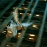 Jumpday, Save Room - Этажи