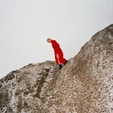 Cate le Bon - Daylight Matters