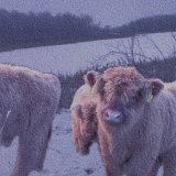 нексет емки - зимой мне скучно без тебя