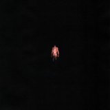 J. ROUH, SALUKI - SOLO