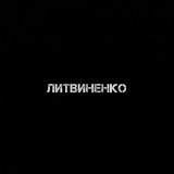 Литвиненко - Муза