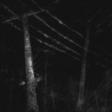 Rivilin - скачать песни